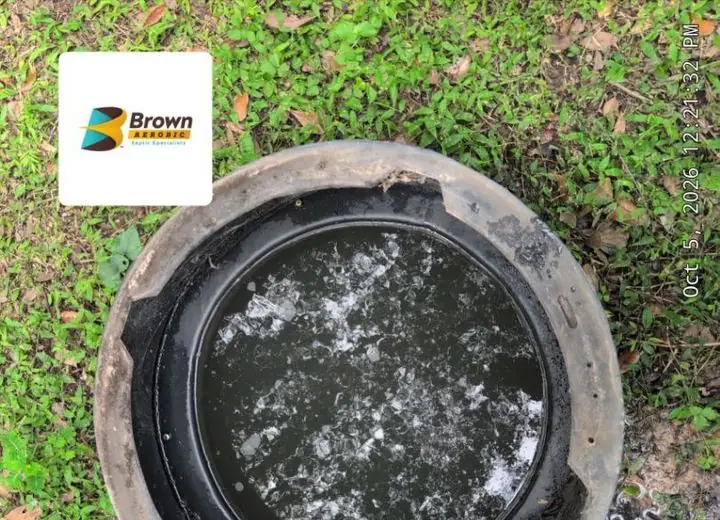 Inside a septic tank before service, example 9 of 11
