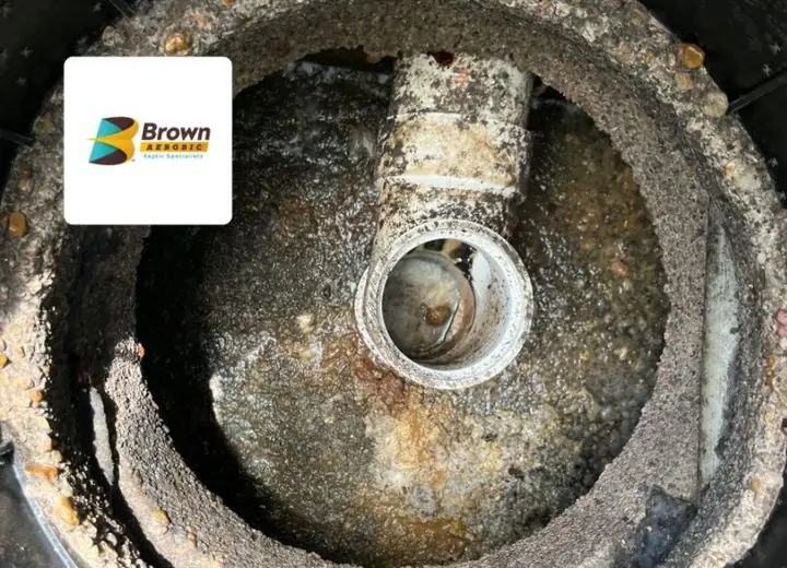 Inside a septic tank before service, example 11 of 11